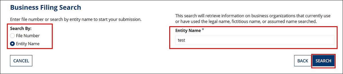 Under Busiiness Filing Search, the radio button for Entity Name is selected. There is also an Entity Name fillable field. 