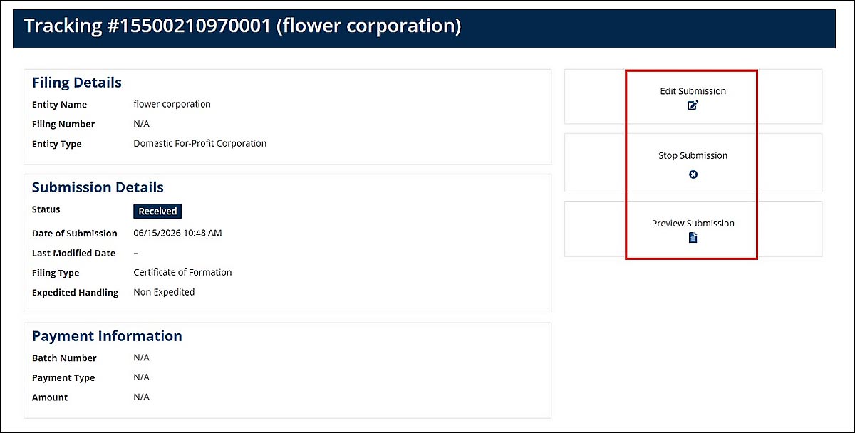 This screen also displays Filing Details, Submission Details and Payment Information. 