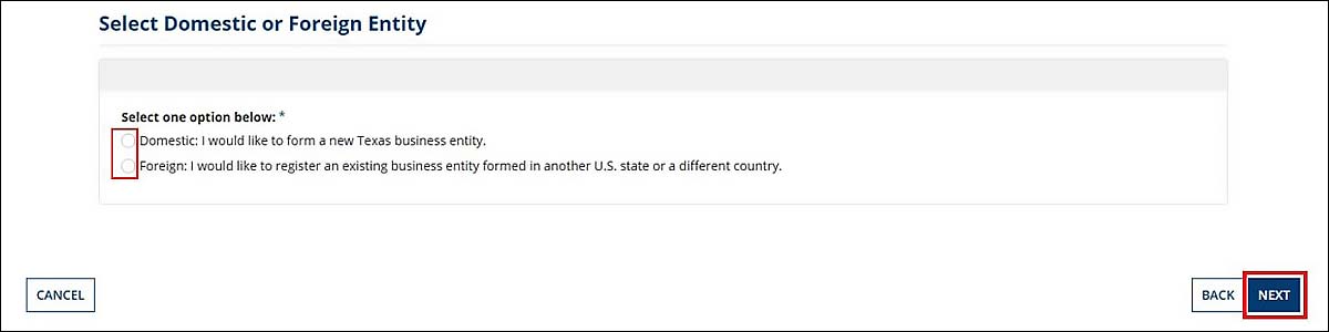 Select the appropriate radio button for Domestic or Foreign entity type. Then select the Next button