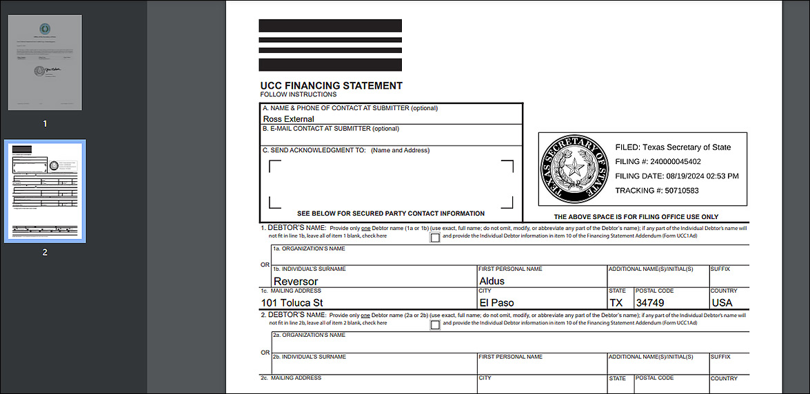This screenshot displays a PDF version of the form.